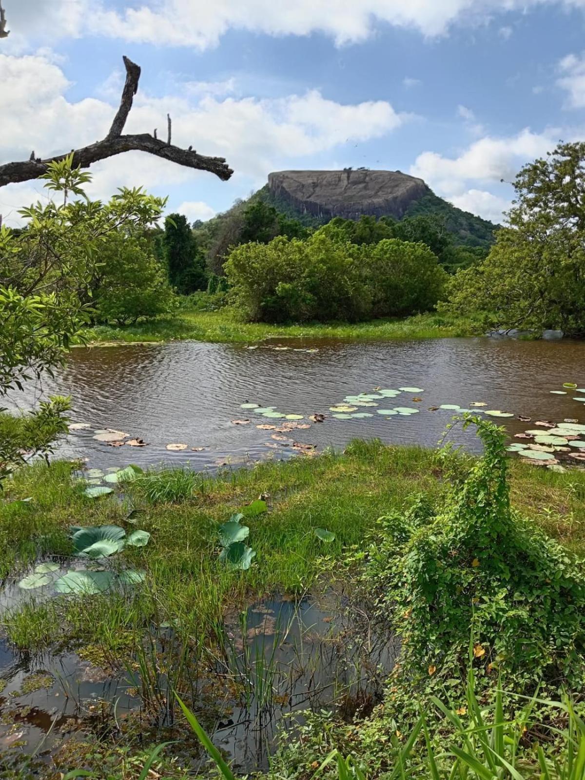 Kings Village Sigiriya Exteriör bild