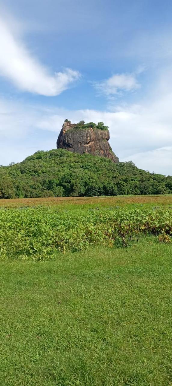 Kings Village Sigiriya Exteriör bild