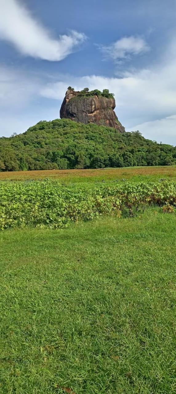Kings Village Sigiriya Exteriör bild
