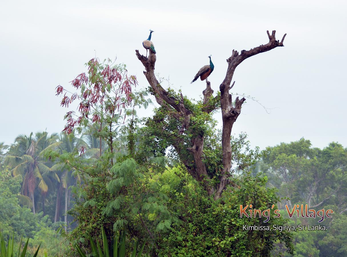 Kings Village Sigiriya Exteriör bild