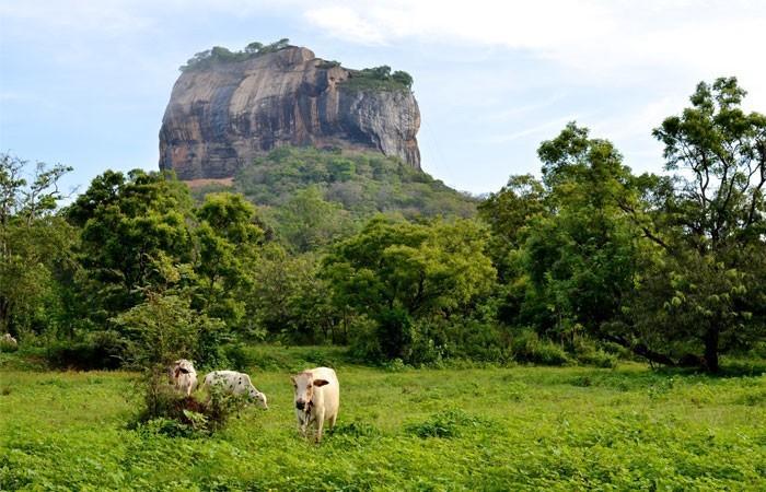 Kings Village Sigiriya Exteriör bild