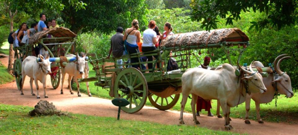 Kings Village Sigiriya Exteriör bild