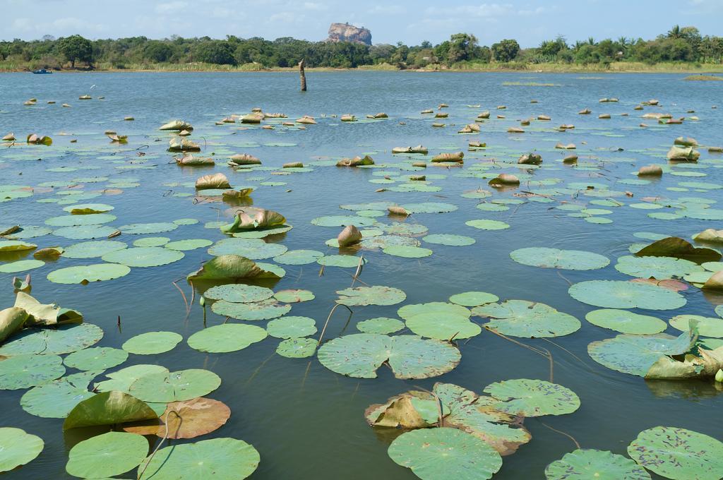 Kings Village Sigiriya Exteriör bild